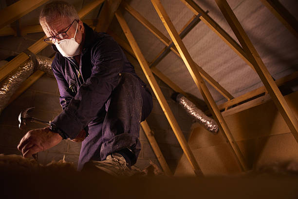 Best Commercial Insulation in Elk Grove Vlage, IL